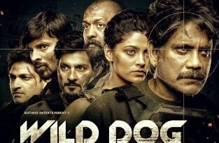 Wild Dog Day 1 Collection | Wild Dog Box Office Collection Worldwide